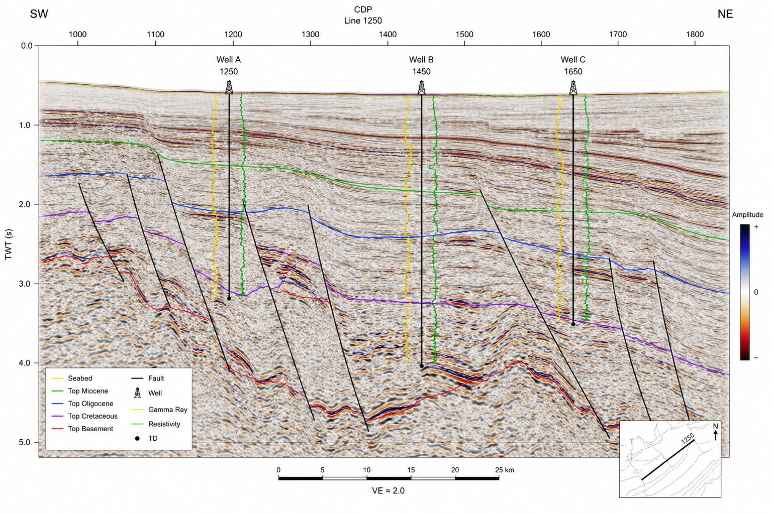 Interpreted seismic section showing mapped horizons, faults, and well control